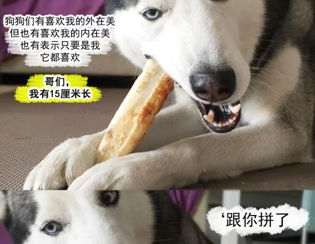 Gà cưng bọc da bò cuộn làm sạch răng que nhai vàng husky chó vừa và nhỏ chó lớn huấn luyện chó đồ ăn nhẹ - Đồ ăn vặt cho chó