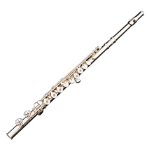 Bastet 100 Steg flute BFL-558 student beginner examination grade carved key 16 open and closed hole Dual-use Western flute