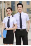 Поддельная рубашка галстук Мужчины и женщины форматируют деловые свадьбы мужчина жених жених жених жених жених жених жених жених