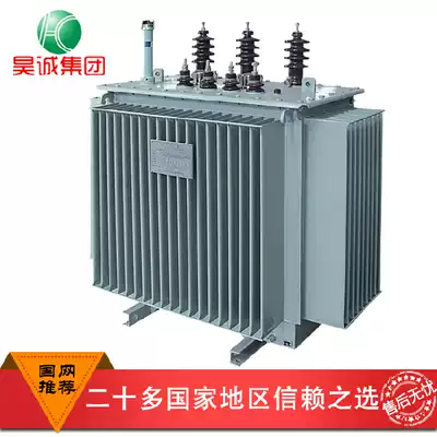 Outdoor oil-immersed power transformer S11-10 20 30 50 63 80 100 125 160kva kW