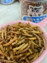 Dried mealworms