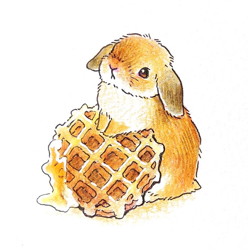 水彩可爱卡通兔子插画彩铅卡通兔子插画创意卡通动物插画临摹素材