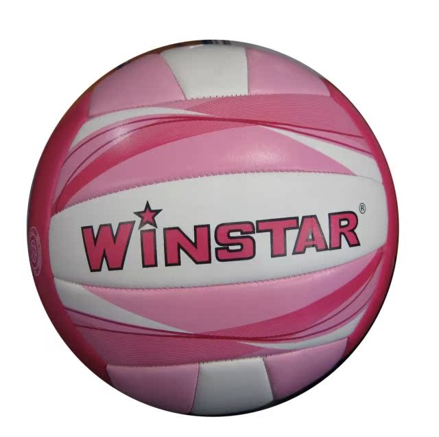 Ballon de volley - Ref 2012562 Image 8