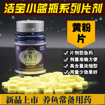 Ornamental fish with injured rotten tail fin germicidal anti-inflammatory yellow powder tablet desquamous white skin bacterial infection water purification sterilization