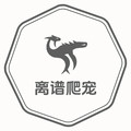 离谱爬宠