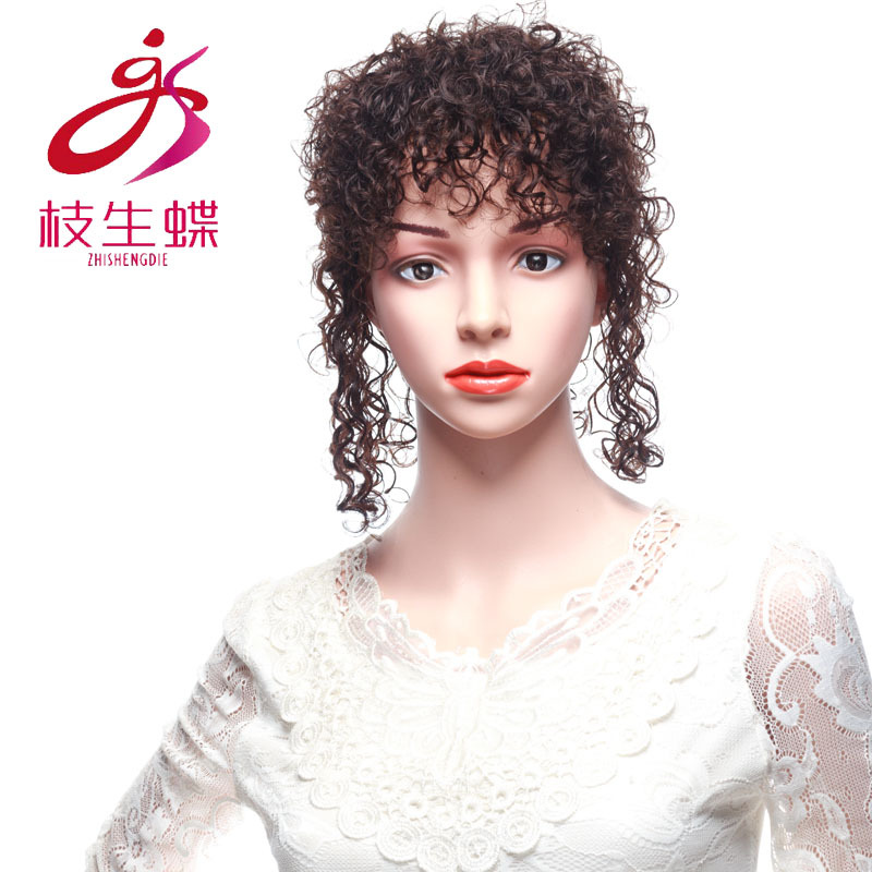 Zhisheng Butterfly Mom Wig Real Hair Curly Hair Wig Piece Middle-Aged and Elderly Natural Covering White Hair Wig Set
