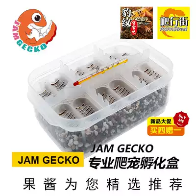 Crawler Climbing Incubator Egg tray Shougong Izard Day Toy Snake Incubator 12 Egg Set