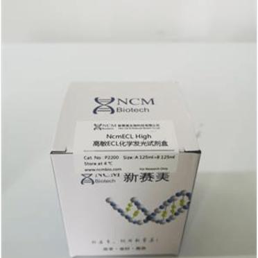 新赛美 科研专用 经典产品试剂高敏 超敏ECL化学发光试剂盒