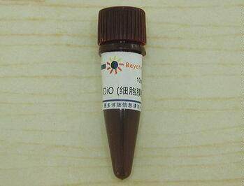 DiD (细胞膜远红外荧光探针) C1039 10mg 碧云天生物 Beyotime