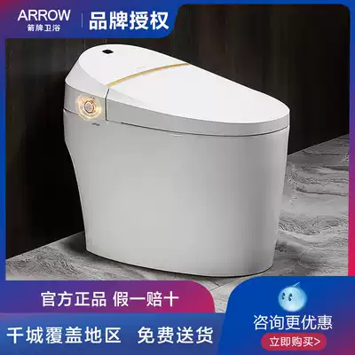 ARROW Wrigley smart flush drying toilet AKE1111
