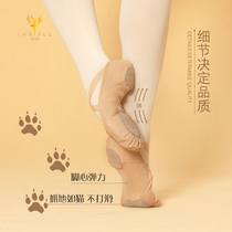 Tianyi dance ballet practice soft shoes Beginner dance non-slip shock absorption cat paw childrens feet heart elastic soft-soled shoes