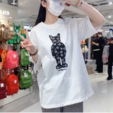 Little Fox Korean Direct Mail Woriet