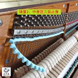 12 -Year -Sold Shop Три цвета фортепиано -настройки пианино -зона STOPPASS/Силиконовый материал/Глобальный звук остановки/Запатентованное продукт/изобретение Baicaixing