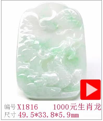 X1816.jpg