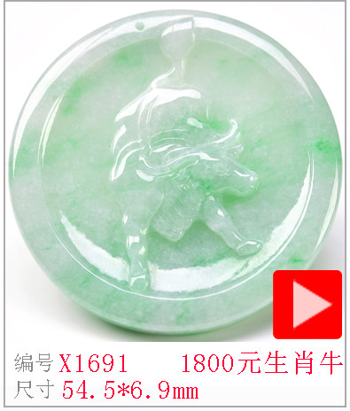 X1691.jpg