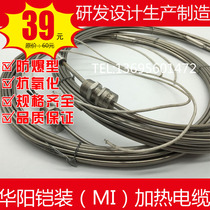 矿物绝缘MI加热电缆 铠装伴热带大功率双芯不锈钢加热丝220V 380V