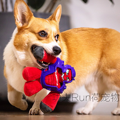 GiGwi is expensive as a gladiator armor warrior hero pet pooch toy plush rubber resistant to biting teeth