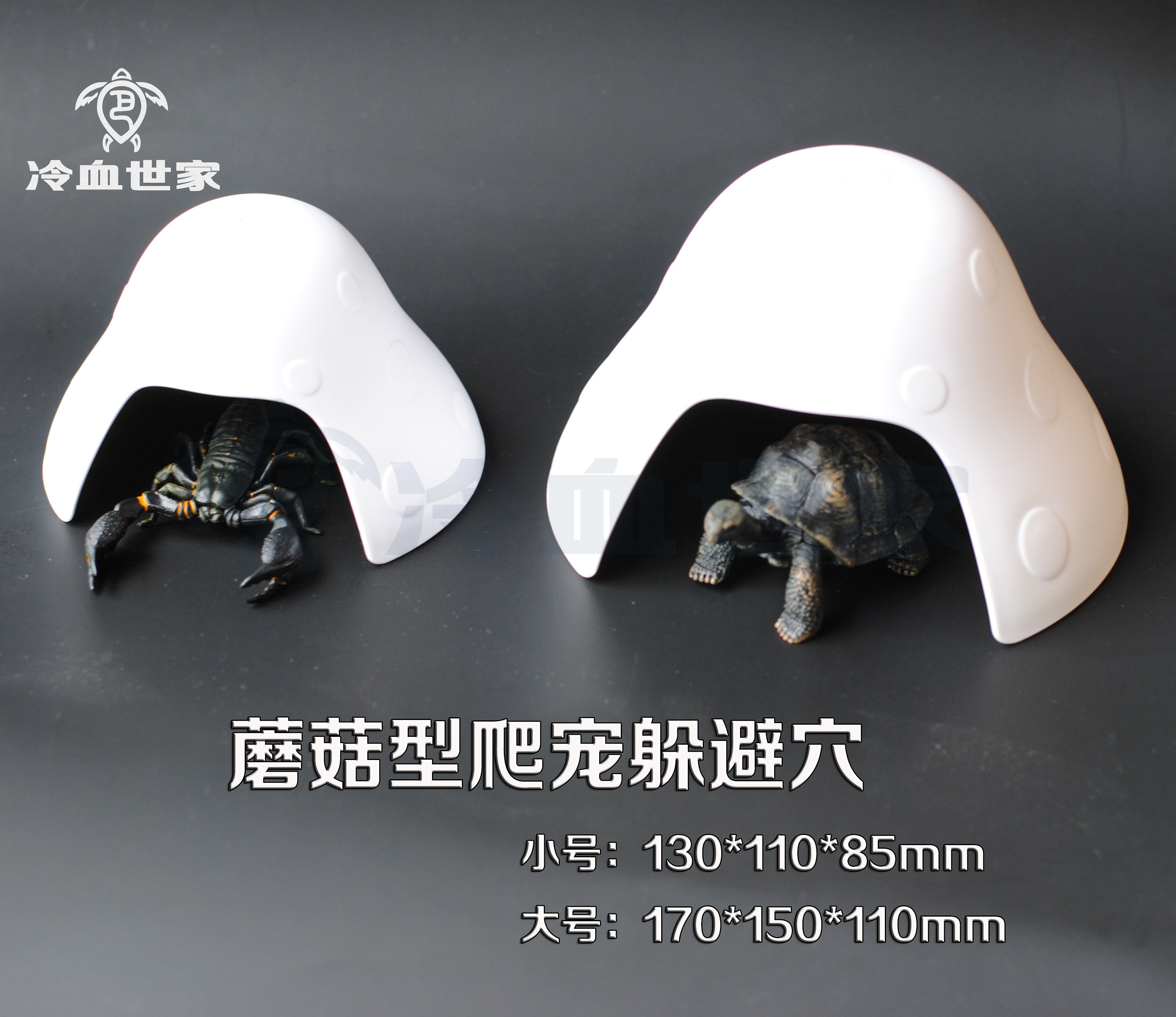 Reptiles Tortoise Lizard Lizard Keeper's Scorpion Spider Horn Frog Mushrooms Dodge From The Cave And Hide From The House