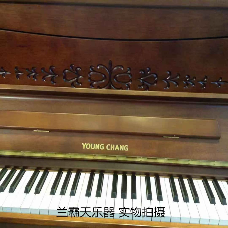 Hàn Quốc YOUNG CHANG Kỷ niệm 57 năm YP123L2 WLCP Home Wood Chơi Piano dọc - dương cầm