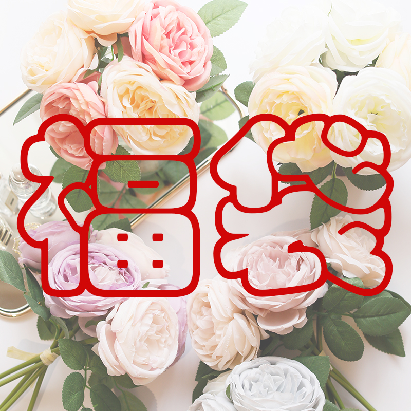 (Mino Family Limited Fuku Bag) percentily-valued Fukubag Fukbag with six-to-a-dozen items per fuku bag