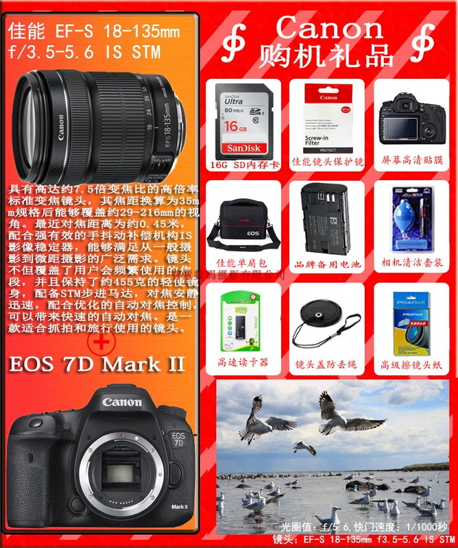 Canon EOS 7D Mark II 7D2 18-135 15-85 Máy ảnh DSLR USM STM - SLR kỹ thuật số chuyên nghiệp