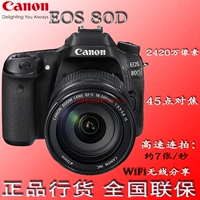 Bộ dụng cụ Canon EOS 80D 18-200 IS của Ngân hàng Quốc gia Máy ảnh DSLR chuyên nghiệp mới chụp ảnh du lịch HD - SLR kỹ thuật số chuyên nghiệp máy ảnh mini