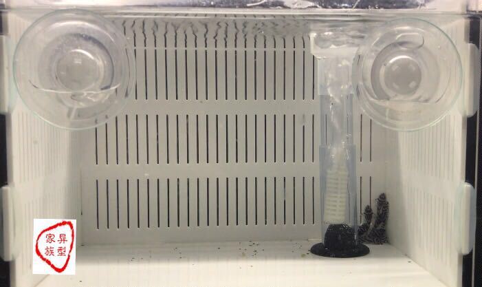 Acrylic Isolation Box, Anti-Gas Lift, Pneumatic Type, Acrylic, White Incubation Box, Breeding Box, Fish Fry Breeding Tank