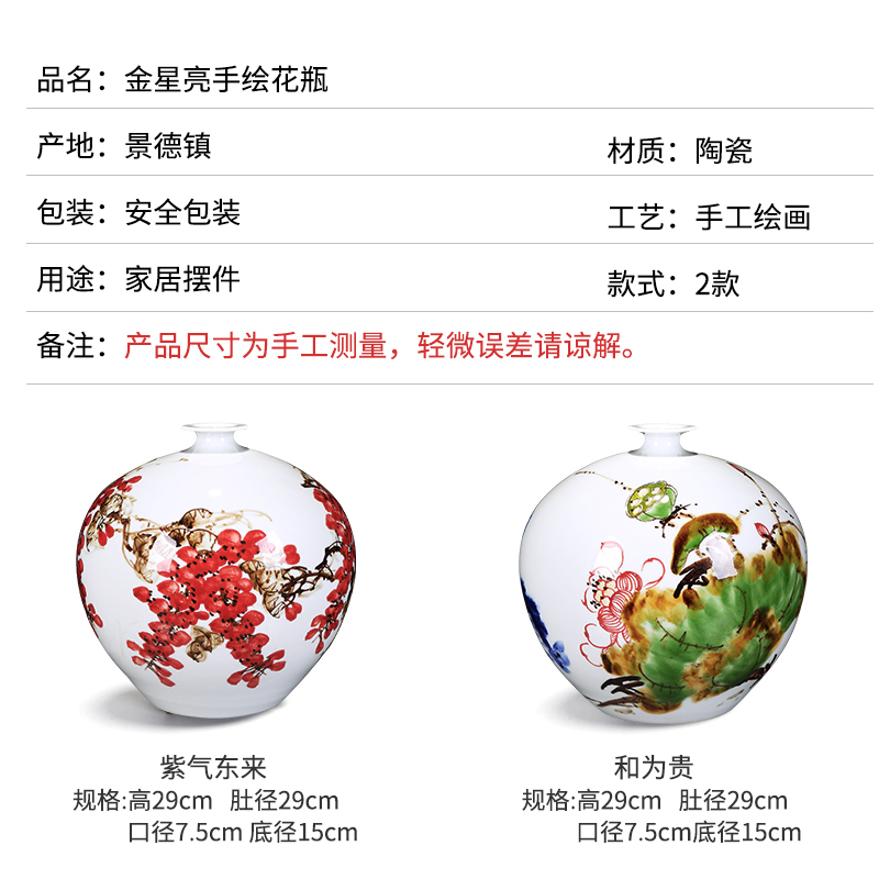 Jingdezhen ceramics vase hand - made flower arranging furnishing articles of modern Chinese style household living room TV cabinet decoration porcelain