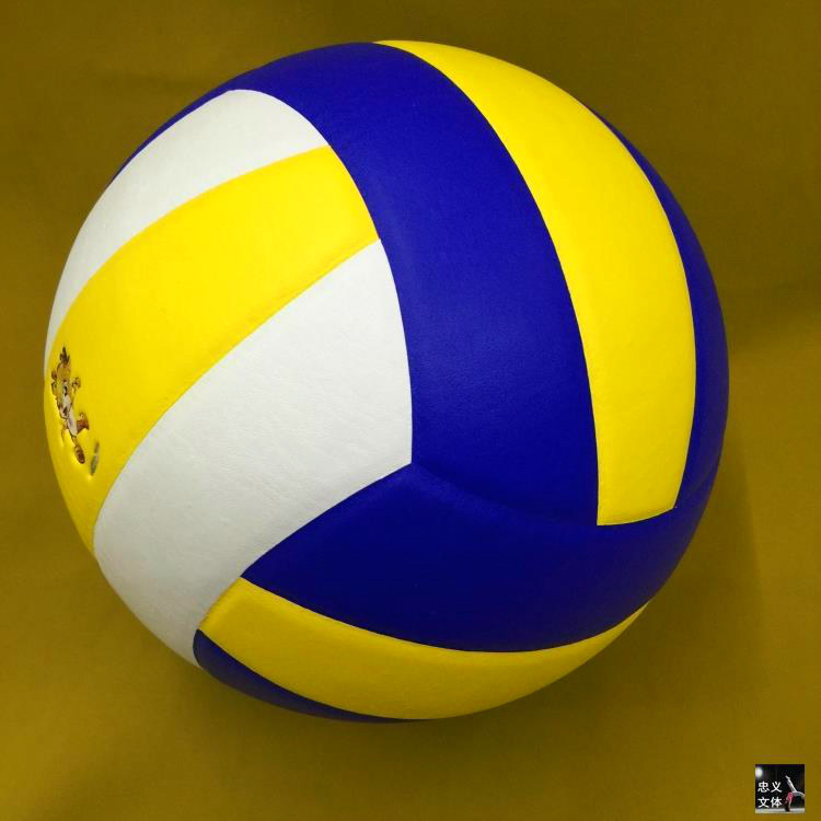 Ballon de volley-ball - Ref 2010959 Image 36