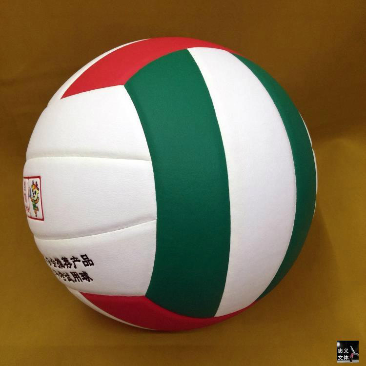 Ballon de volley - Ref 2011016 Image 19