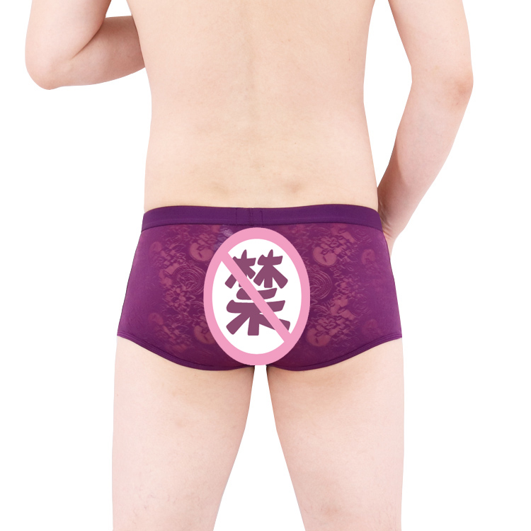Quần lót nam trong suốt nam một mảnh boyshort ren unisex liền mạch quần khiêu dâm đầu thoáng khí liền mạch quần sịp cotton nam