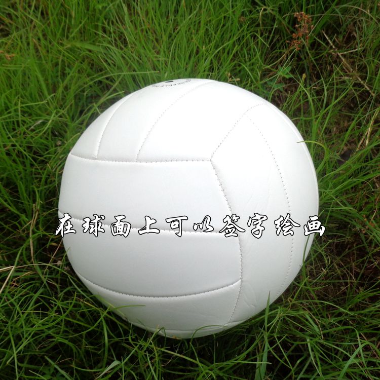 Ballon de volley BOAR - Ref 2007960 Image 13