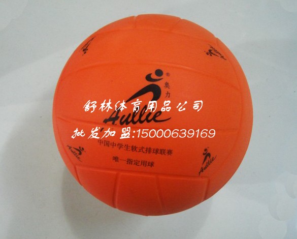 Ballon de volley - Ref 2009626 Image 5