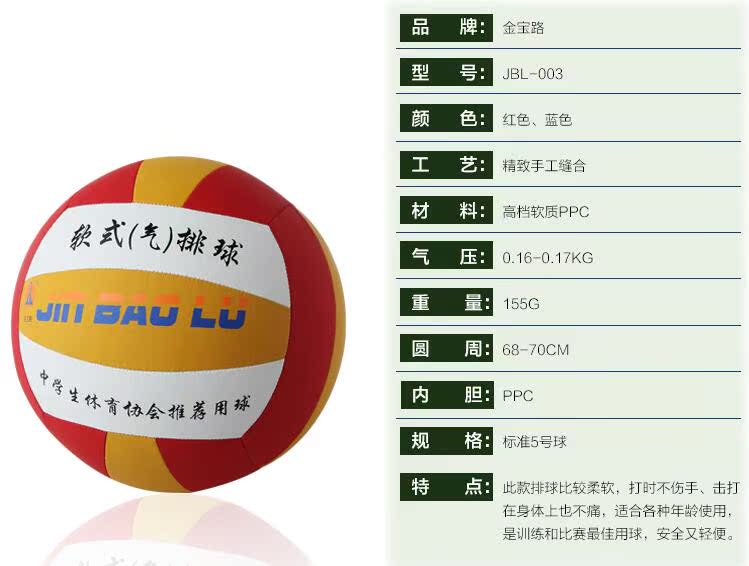 Ballon de volley - Ref 2010411 Image 12