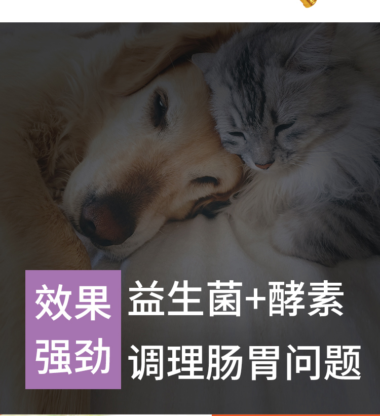 Gudeng túi tiêu hóa 12 túi cat dog enzyme men vi sinh mèo con điều hòa tiêu hóa chống tiêu hóa - Cat / Dog Health bổ sung sữa bột cho mèo con