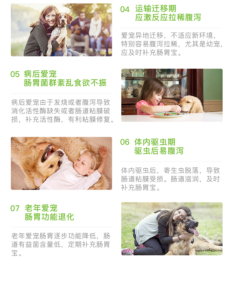 Thú cưng mèo nôn nôn chó tiêu hóa kho báu nhỏ thú cưng 10 gói gấu bông điều hòa lông vàng tiêu hóa chó con tiêu chảy chán ăn - Cat / Dog Health bổ sung sữa cho mèo bệnh