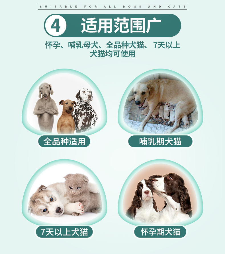 Thuốc tẩy giun sán cho chó và mèo cao - Cat / Dog Medical Supplies 	các loại kim tiêm trong thú y	
