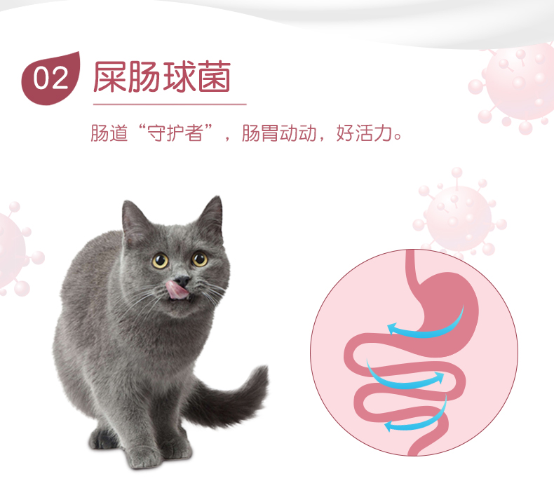 Cả hai sữa dê dầu cá pudding 15g * 15 viên toàn bộ mèo ăn nhẹ mèo con mèo vào thức ăn ướt mèo mèo đóng hộp thạch - Đồ ăn nhẹ cho mèo mèo ăn hạt có tốt không