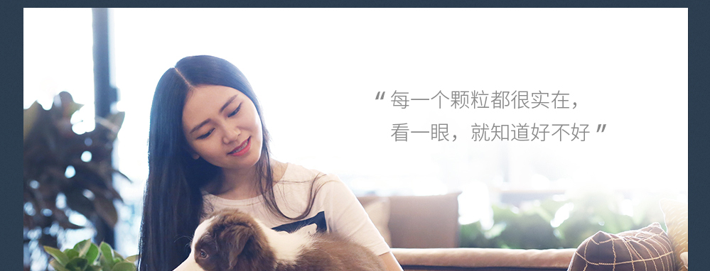 Một con gà biển Fei và Ba Di Gà ức chó ăn thịt mèo Thịt thú cưng Thưởng thức ăn ướt Mèo ăn vặt 40g * 10 gói - Đồ ăn nhẹ cho mèo bán buôn thức ăn phụ kiện chó mèo