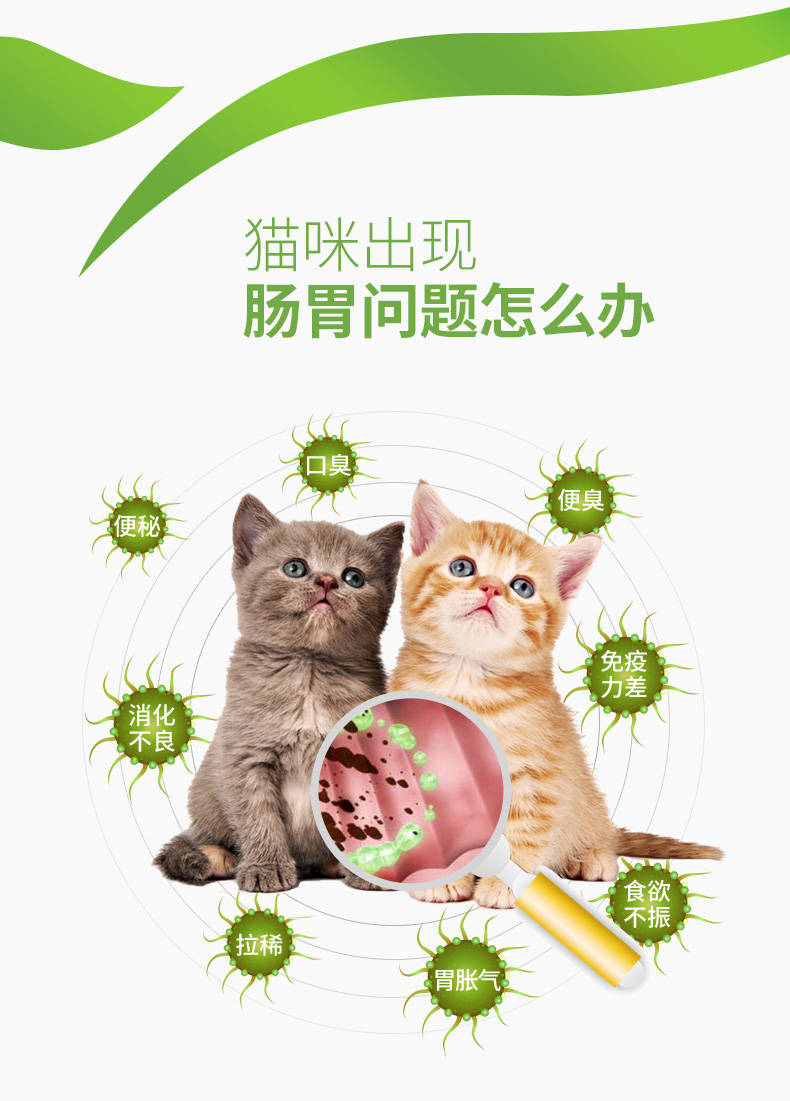 Mèo rừng Mèo Probiotic Mèo Mèo Mèo Intestines Kho báu Điều hòa Nôn mửa Tiêu hóa Hiếm gặp - Cat / Dog Health bổ sung sữa cho chó mới đẻ