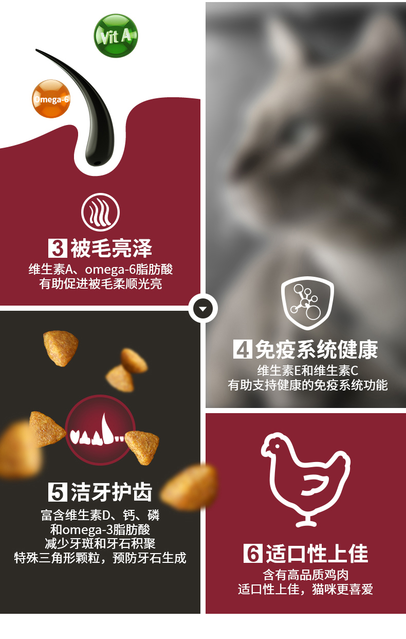 Guan có thể trở thành một con mèo giá đầy đủ thức ăn cho mèo 240 gam bảo vệ tuyệt vời thận thận ngắn gấp tai vào cat cat staple food 80 gam * 3 túi xách tay thức ăn cho mèo minino