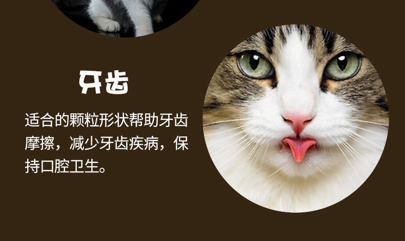 Nori Avocado Toàn thời gian Thức ăn cho mèo 1,4kg Mèo trưởng thành Mèo già Mèo bừa bãi Bột yến mạch Ball Cat Thức ăn cho mèo - Cat Staples thức ăn cho cún