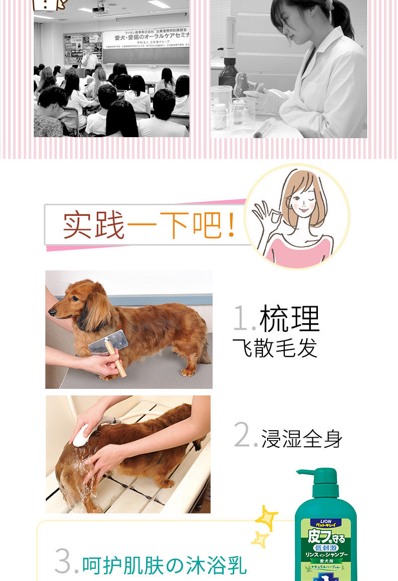 Sữa tắm cho chó sư tử LION sữa tắm nhập khẩu cho mèo cưng tắm Nhật Bản Ai 550ml - Cat / Dog Beauty & Cleaning Supplies lược chải bông lông chó	