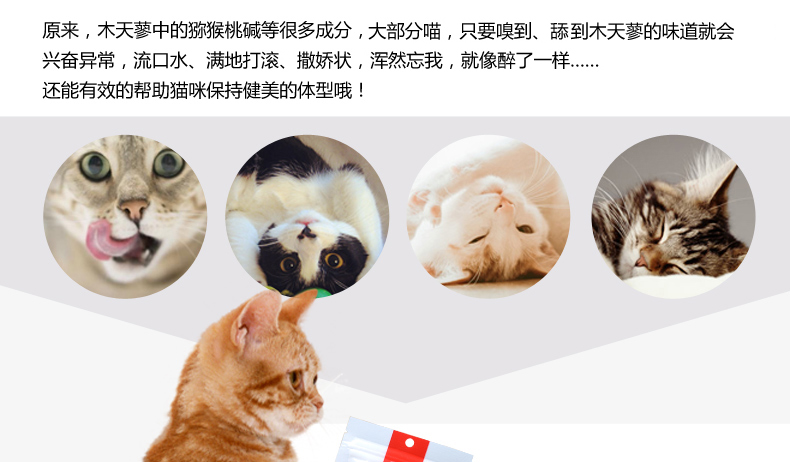 Jin Duole tim mèo ăn vặt gỗ bọ cạp Bọ cạp 5 mèo cather hạt catsrang 5kg