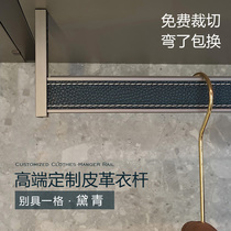 Dark green leather clothes rail in the wardrobe cloakroom and bedroom minimalist leather pattern glass door high custom-made thick clothes rail