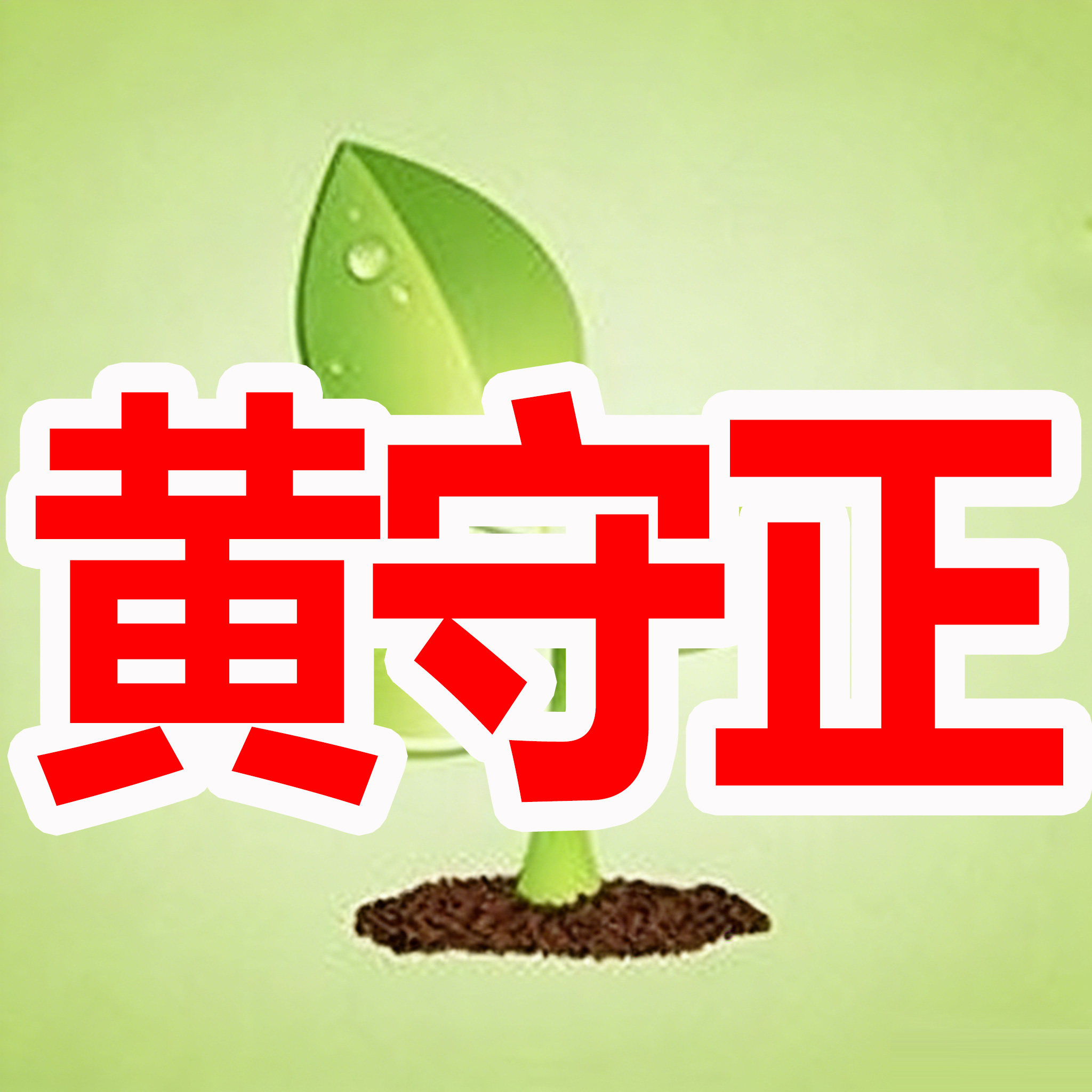 黄守正的果园的LOGO