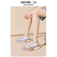 巧克力色 白蓝色22503-2