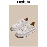 西瓜红 白色7709