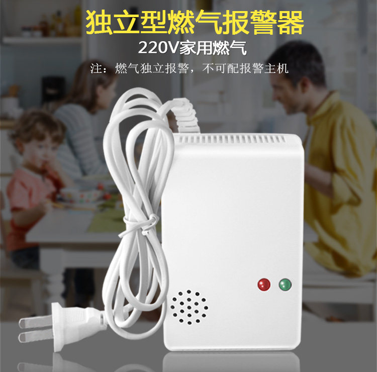 220V Independent Home Gas Gas Gas Alarms Combustible Gas Gas Gas Leak Induction Detectors