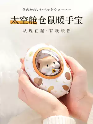 Handsome treasure warm baby female rechargeable electric electric hand warmer treasure student explosion-proof plush mini small portable portable small